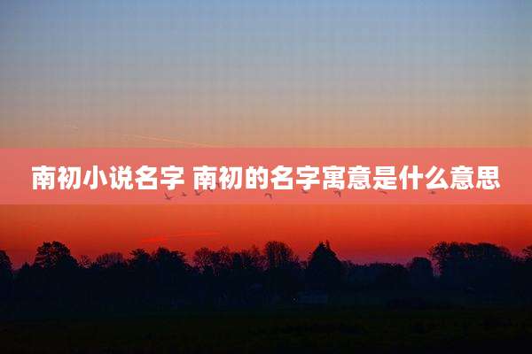 南初小说名字 南初的名字寓意是什么意思