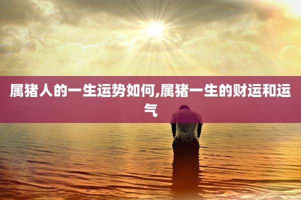 属猪人的一生运势如何,属猪一生的财运和运气