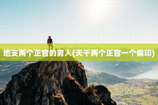 地支两个正官的男人(天干两个正官一个偏印)