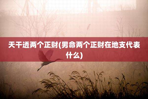 天干透两个正财(男命两个正财在地支代表什么)