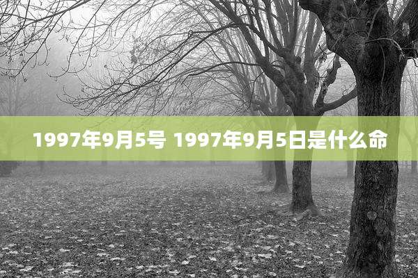 1997年9月5号 1997年9月5日是什么命
