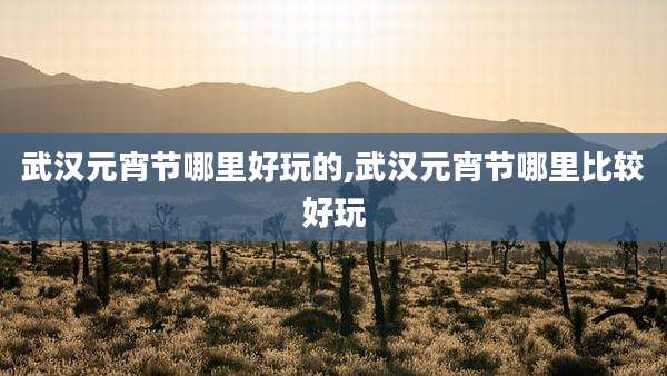 武汉元宵节哪里好玩的,武汉元宵节哪里比较好玩