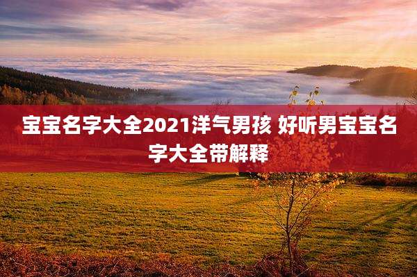 宝宝名字大全2021洋气男孩 好听男宝宝名字大全带解释