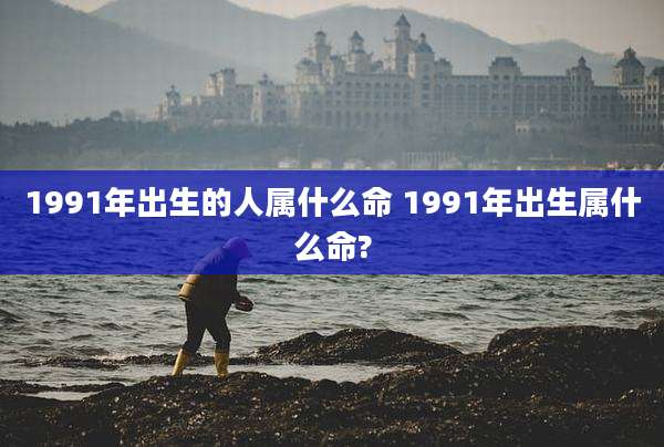 1991年出生的人属什么命 1991年出生属什么命?