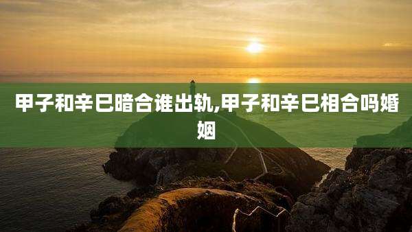 甲子和辛巳暗合谁出轨,甲子和辛巳相合吗婚姻