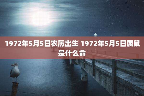 1972年5月5日农历出生 1972年5月5日属鼠是什么命