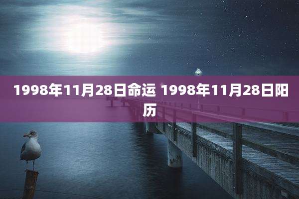 1998年11月28日命运 1998年11月28日阳历