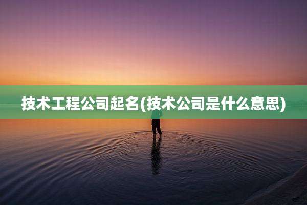 技术工程公司起名(技术公司是什么意思)