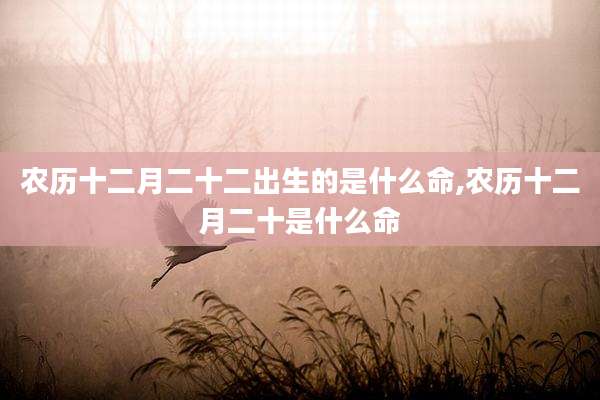 农历十二月二十二出生的是什么命,农历十二月二十是什么命