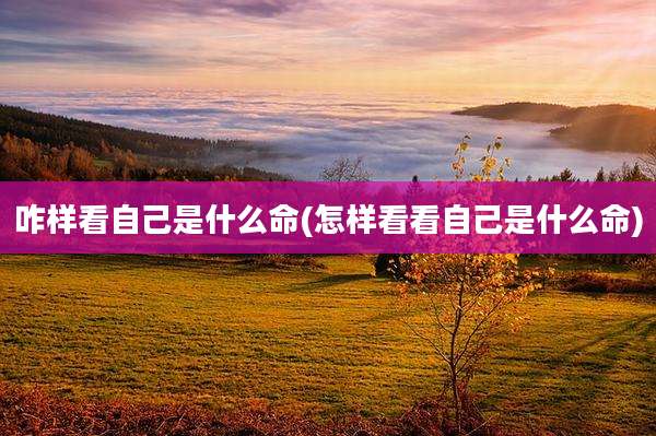 咋样看自己是什么命(怎样看看自己是什么命)