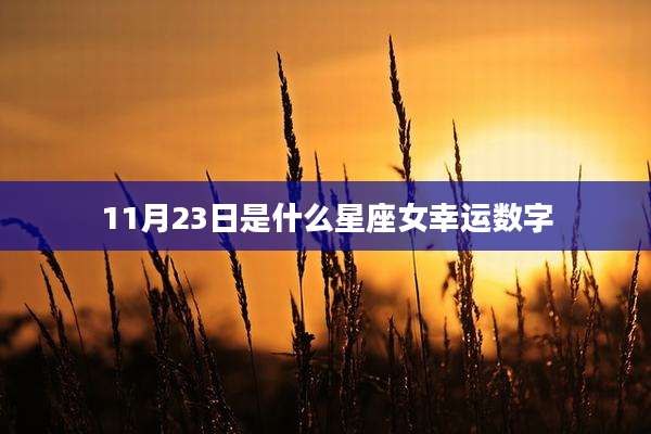 11月23日是什么星座女幸运数字
