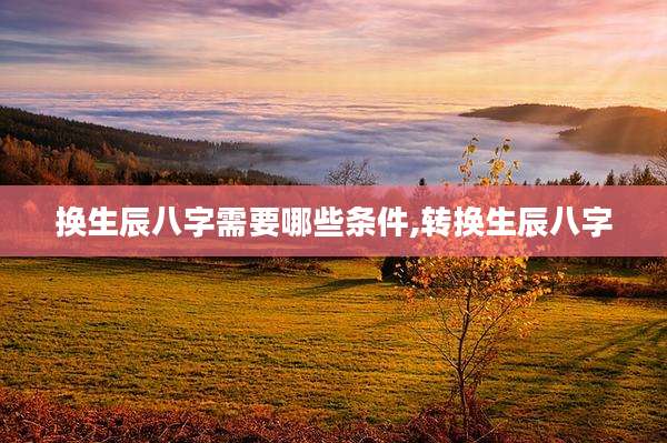 换生辰八字需要哪些条件,转换生辰八字