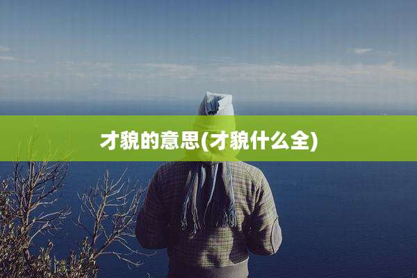 才貌的意思(才貌什么全)