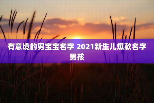 有意境的男宝宝名字 2021新生儿爆款名字男孩