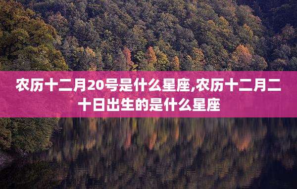 农历十二月20号是什么星座,农历十二月二十日出生的是什么星座
