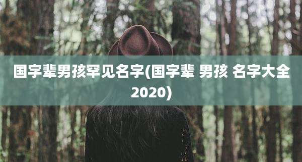 国字辈男孩罕见名字(国字辈 男孩 名字大全2020)