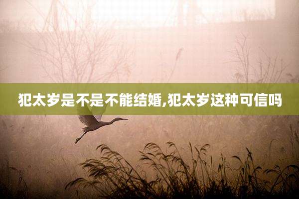 犯太岁是不是不能结婚,犯太岁这种可信吗