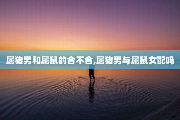 属猪男和属鼠的合不合,属猪男与属鼠女配吗