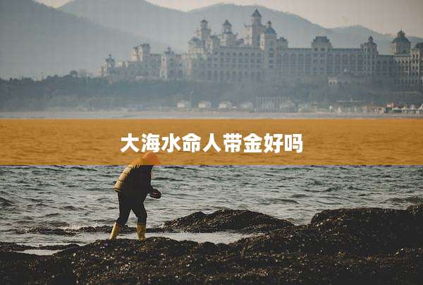 大海水命人带金好吗