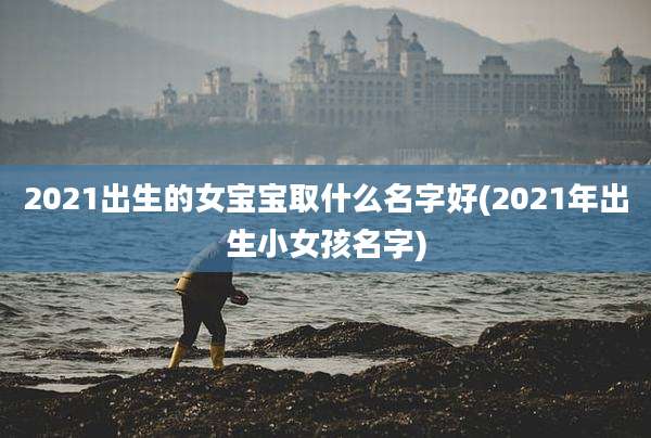 2021出生的女宝宝取什么名字好(2021年出生小女孩名字)