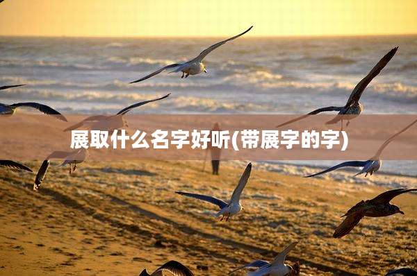 展取什么名字好听(带展字的字)