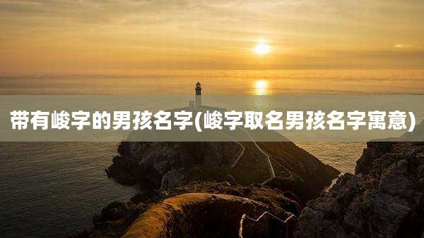 带有峻字的男孩名字(峻字取名男孩名字寓意)