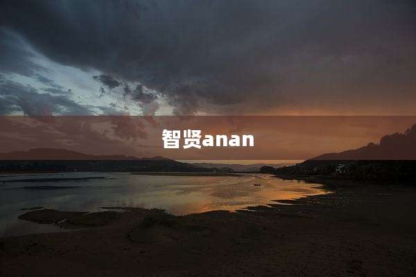 智贤anan