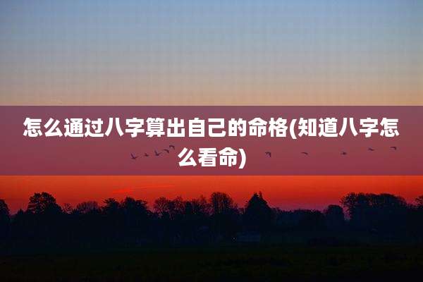 怎么通过八字算出自己的命格(知道八字怎么看命)