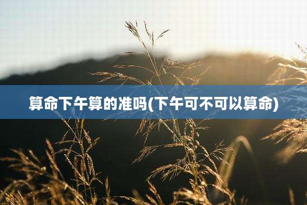 算命下午算的准吗(下午可不可以算命)