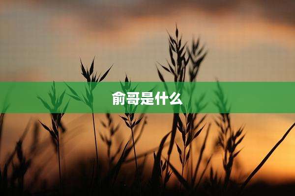 俞哥是什么