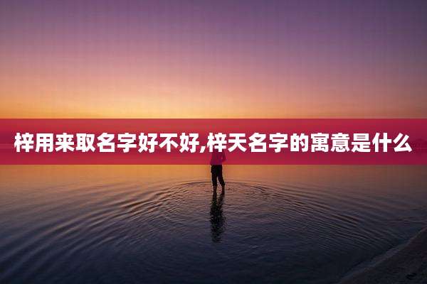 梓用来取名字好不好,梓天名字的寓意是什么