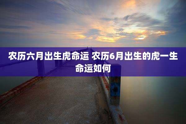 农历六月出生虎命运 农历6月出生的虎一生命运如何