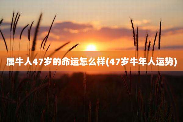 属牛人47岁的命运怎么样(47岁牛年人运势)