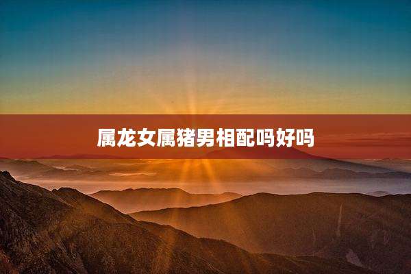 属龙女属猪男相配吗好吗