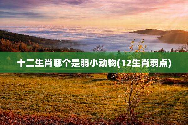 十二生肖哪个是弱小动物(12生肖弱点)