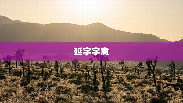延字字意