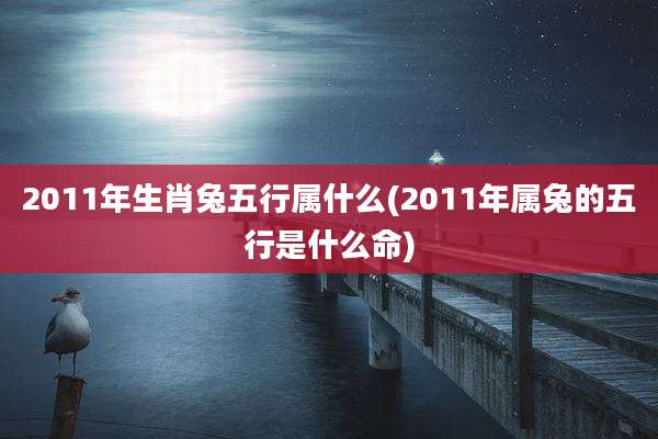 2011年生肖兔五行属什么(2011年属兔的五行是什么命)