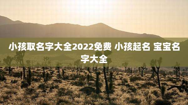 小孩取名字大全2022免费 小孩起名 宝宝名字大全