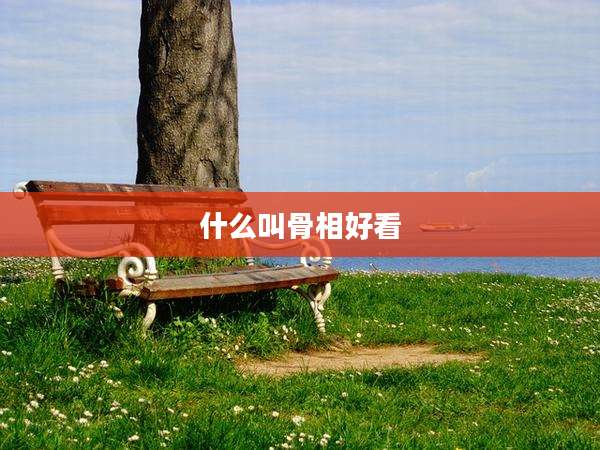 什么叫骨相好看