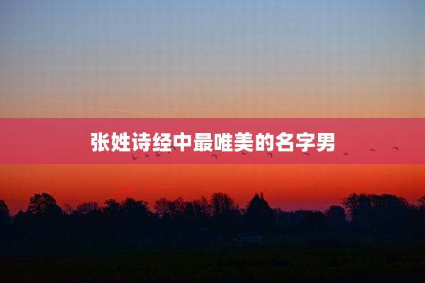 张姓诗经中最唯美的名字男