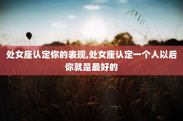 处女座认定你的表现,处女座认定一个人以后你就是最好的