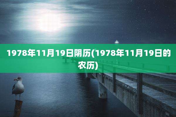 1978年11月19日阴历(1978年11月19日的农历)