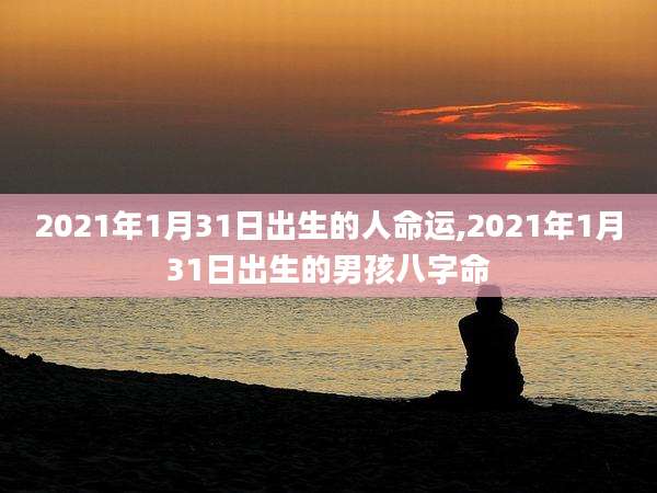 2021年1月31日出生的人命运,2021年1月31日出生的男孩八字命