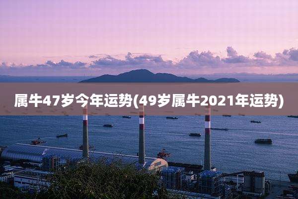 属牛47岁今年运势(49岁属牛2021年运势)