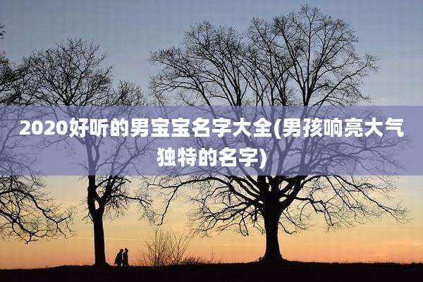 2020好听的男宝宝名字大全(男孩响亮大气独特的名字)