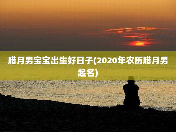 腊月男宝宝出生好日子(2020年农历腊月男起名)