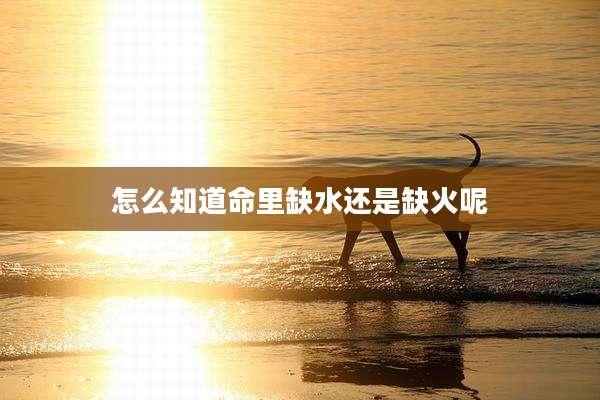 怎么知道命里缺水还是缺火呢