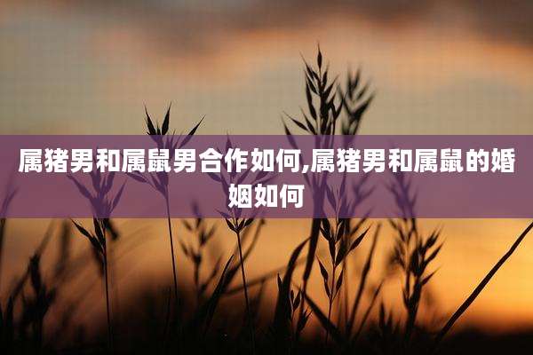 属猪男和属鼠男合作如何,属猪男和属鼠的婚姻如何