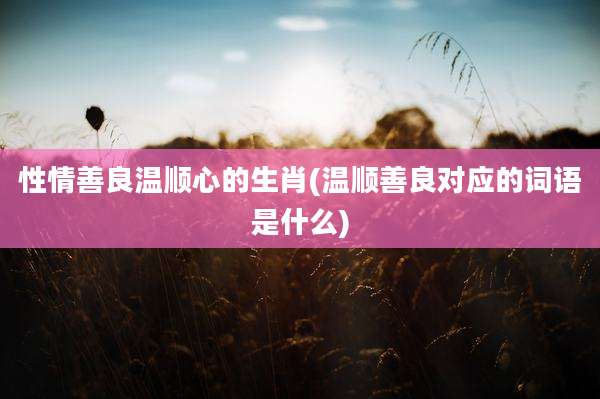性情善良温顺心的生肖(温顺善良对应的词语是什么)