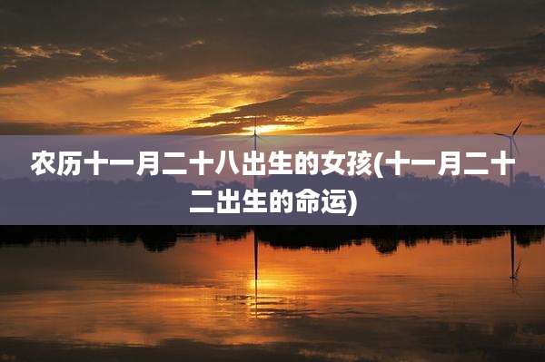 农历十一月二十八出生的女孩(十一月二十二出生的命运)